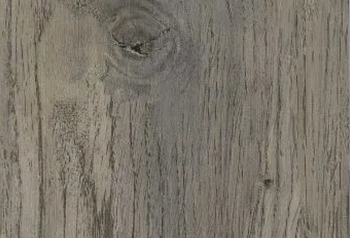 Polar SPC - Chestnut