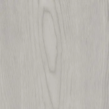 Polar SPC -Whitewash