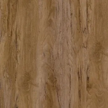 Polar SPC - Oak History